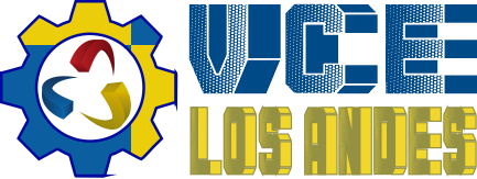 VCE LOS ANDES S.A.C. - VICELSSA