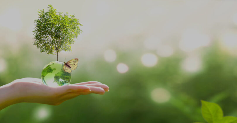 ing-medioambiente